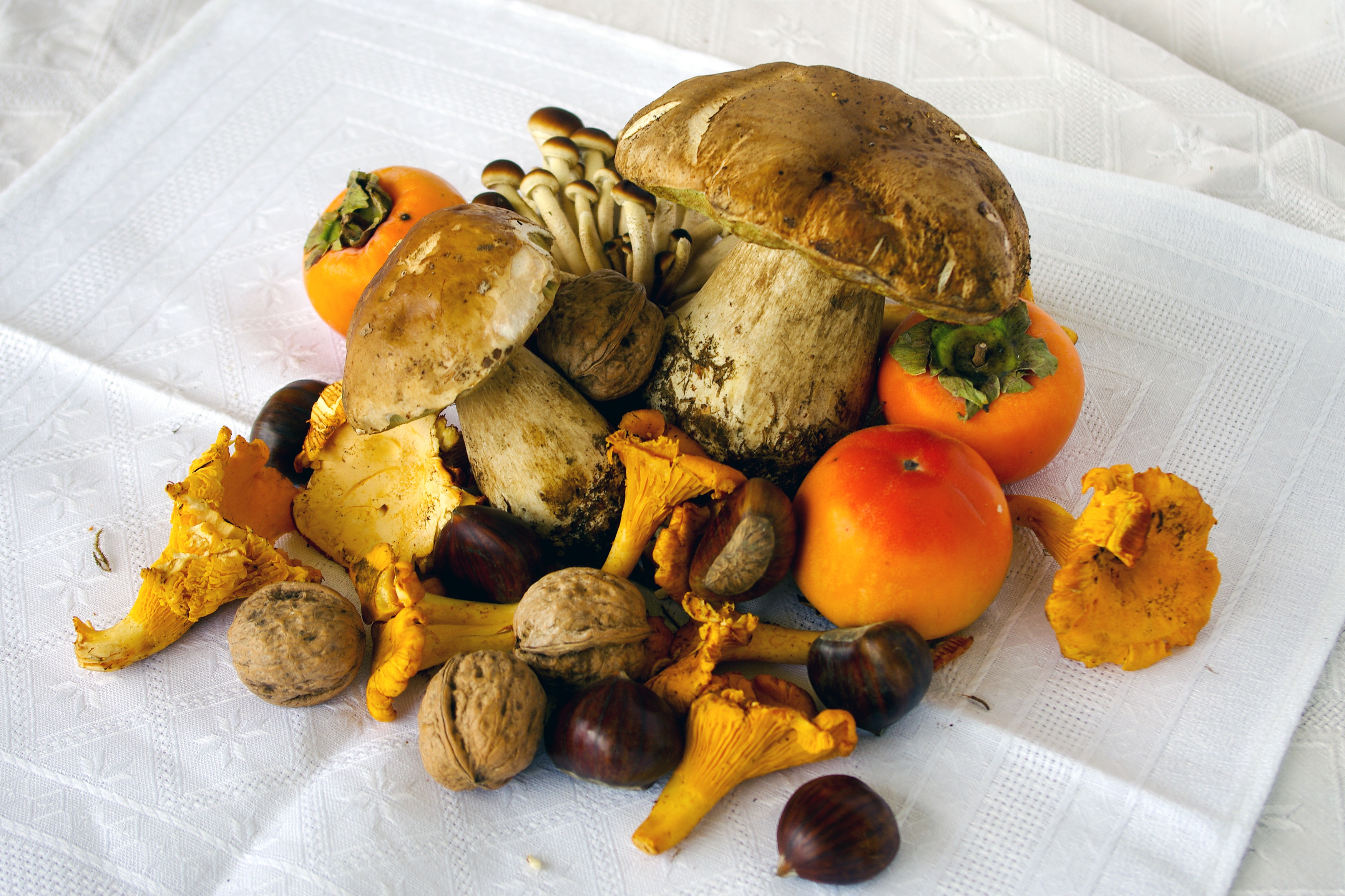 40 Ottime Ricette Per Cucinare I Funghi Nel Modo Migliore